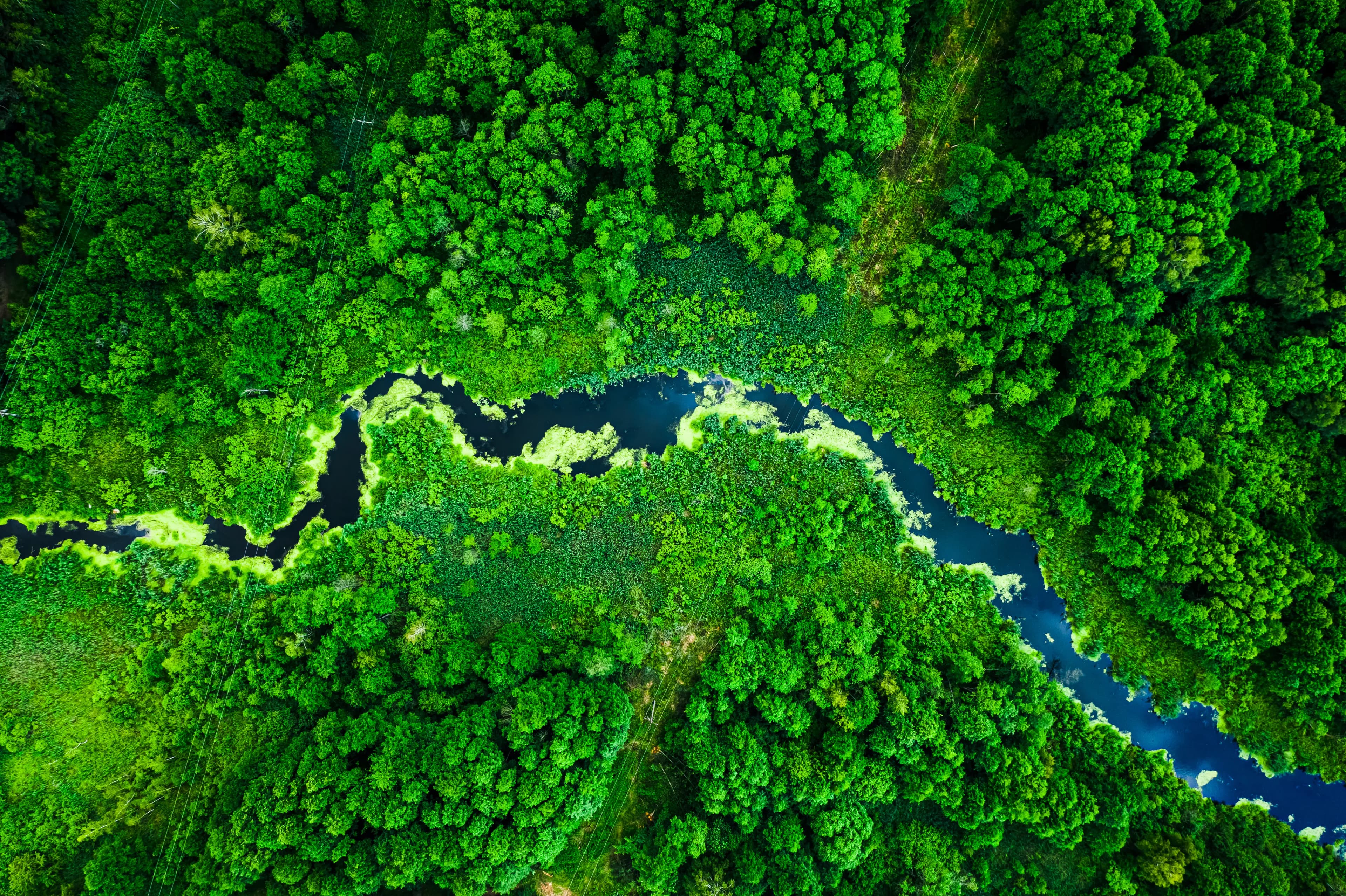 nature